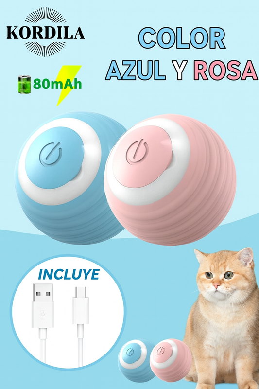Pelotas interactivas, automáticas e inteligentes para gatos – Kordila®
